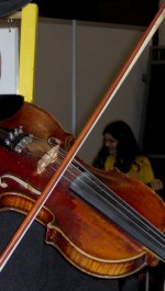 Fiddle, ready for the folk Fiddle, ready for the folk